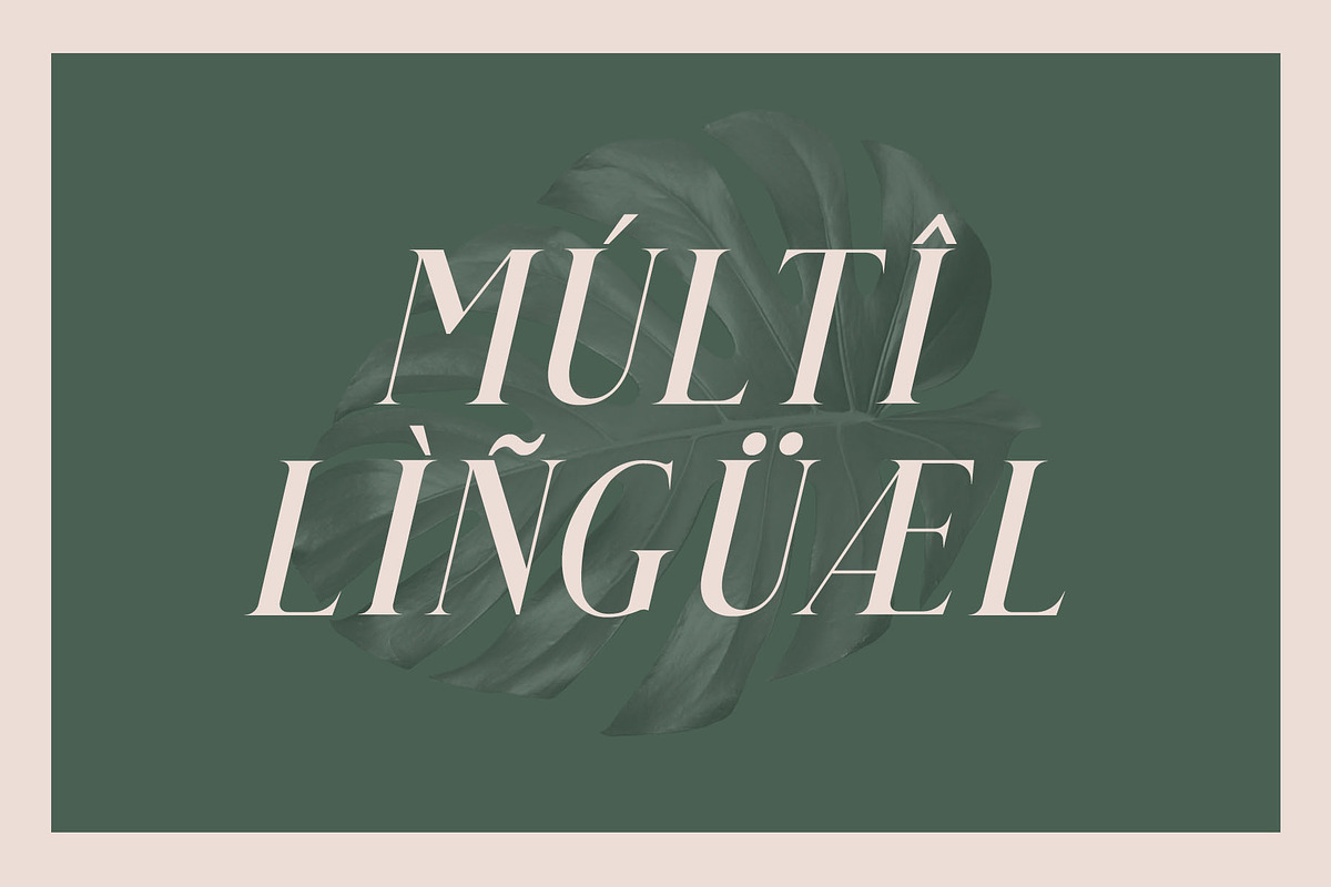 Qualey - Elegant Serif Font, a Serif Font by Craft Supply Co. (Photo 10 of 11)