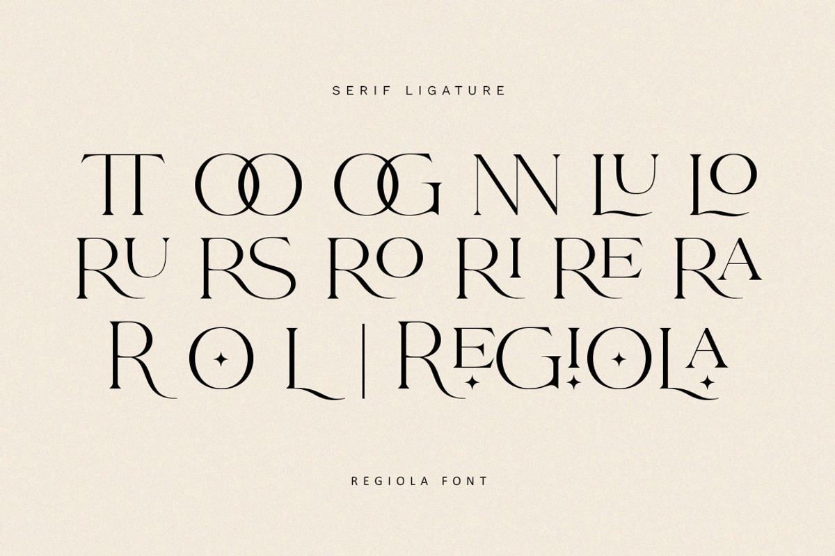 Regiola Font Duo, a Serif Font by Lucky Type (Photo 14 of 14)