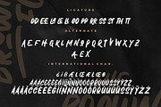 The Brown Fox Stylish Marker, a Script Font by Creatype Studio (Thumbnail 8 of 9)