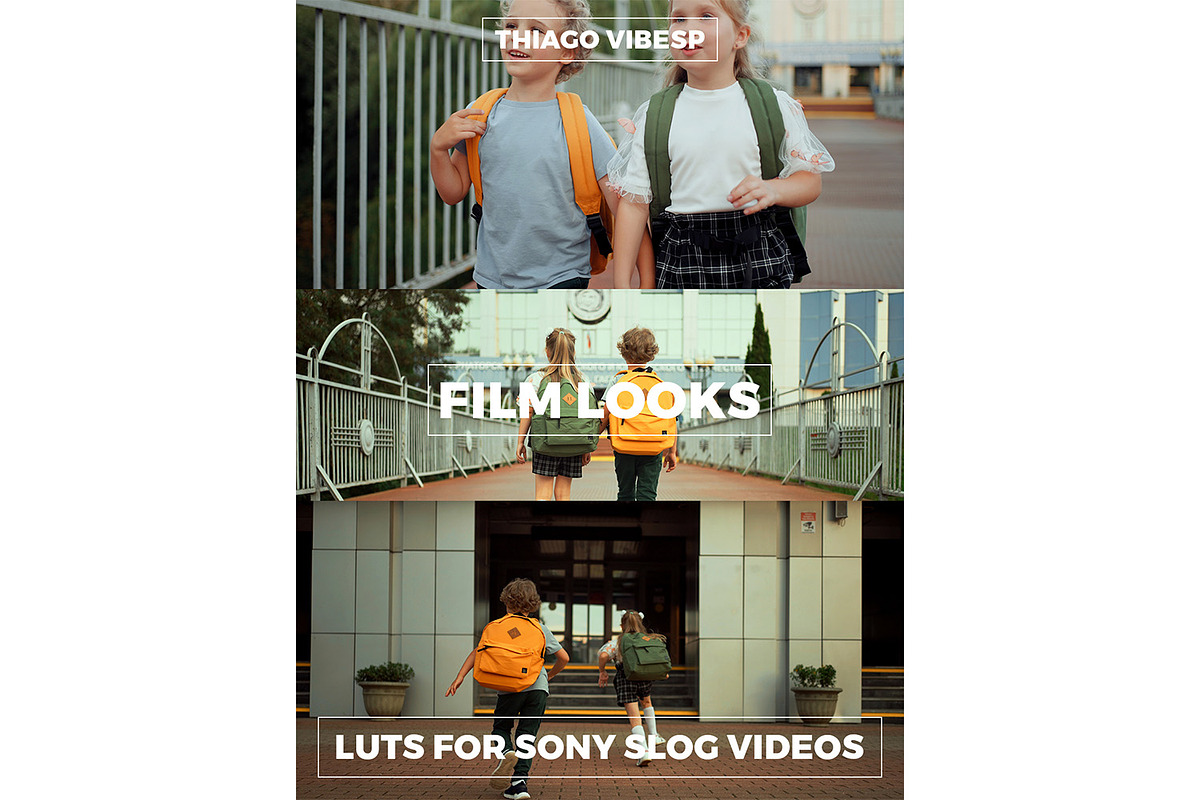LUTs for Sony S-log Videos, a Templates & Theme by Thiago Vibesp (Photo 1 of 2)