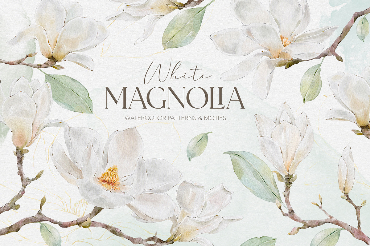 Watercolor White Magnolia Mijelo, a Pattern Graphic by Alisa Fimen Design (Photo 1 of 12)