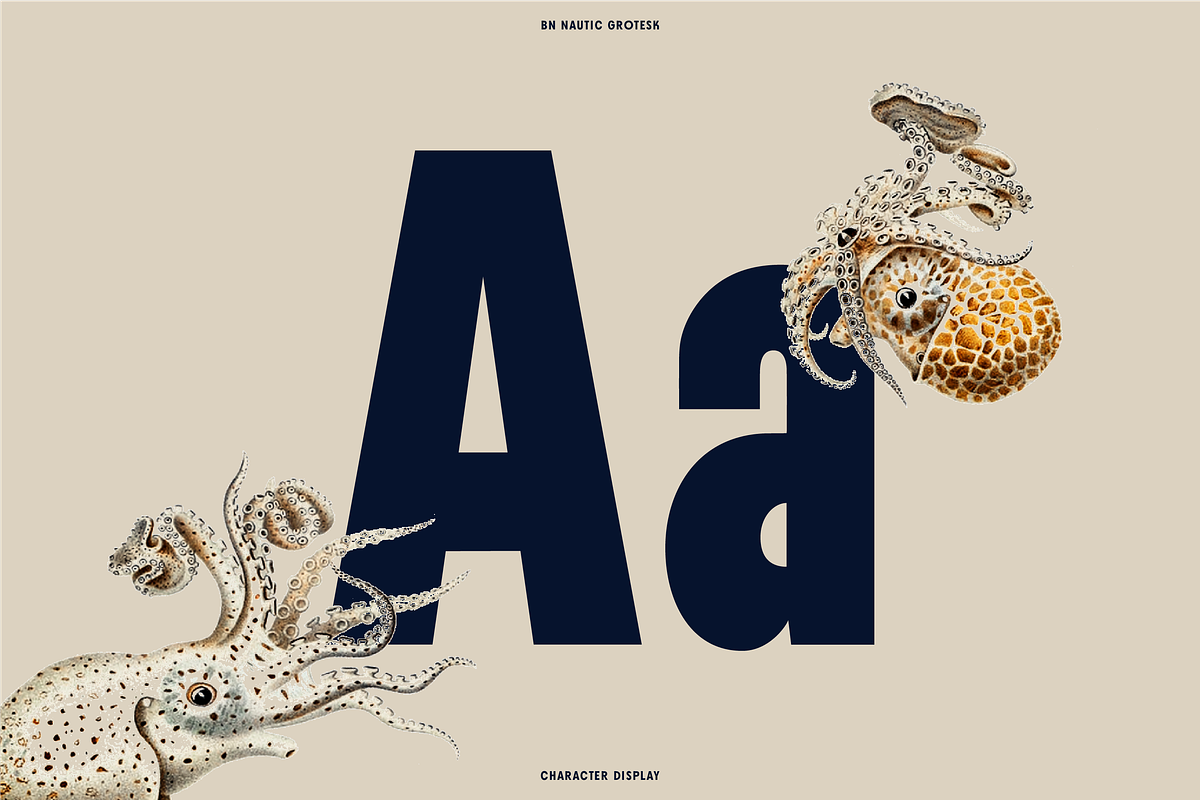 Nautic Grotesk - Modern Display Font, a Sans Serif Font by Bnick (Photo 7 of 12)