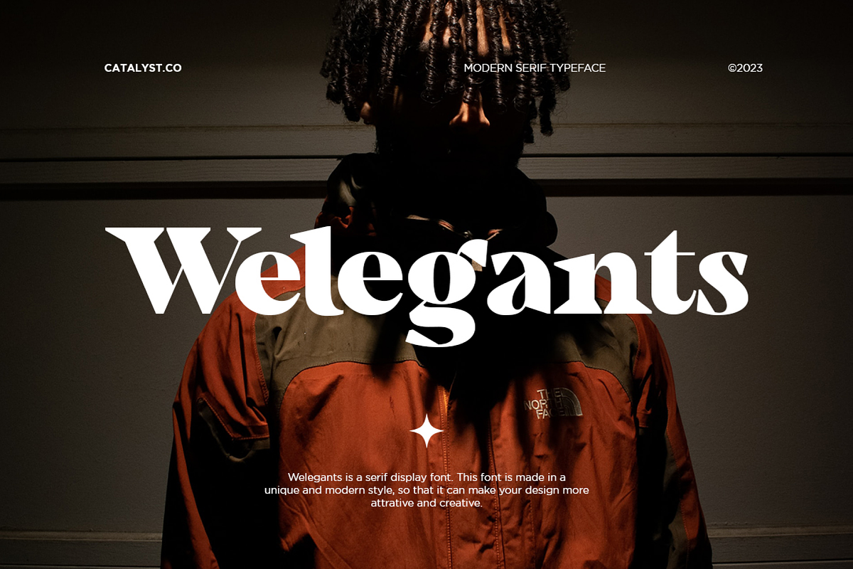 Welegants Modern Serif Font, a Serif Font by Catalystco Studio (Photo 1 of 11)