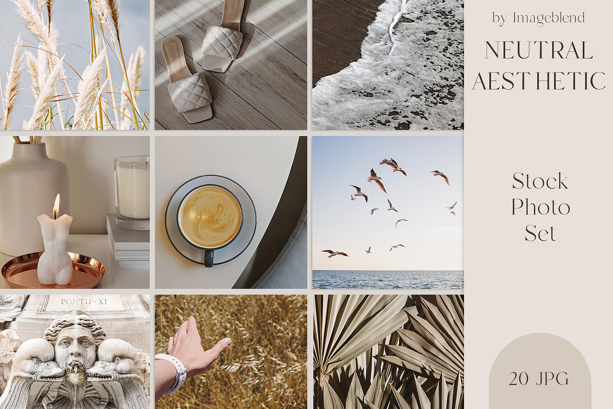 Neutral aesthetic. Stock photo set., a Photo by Imageblend (Photo 1 of 7)