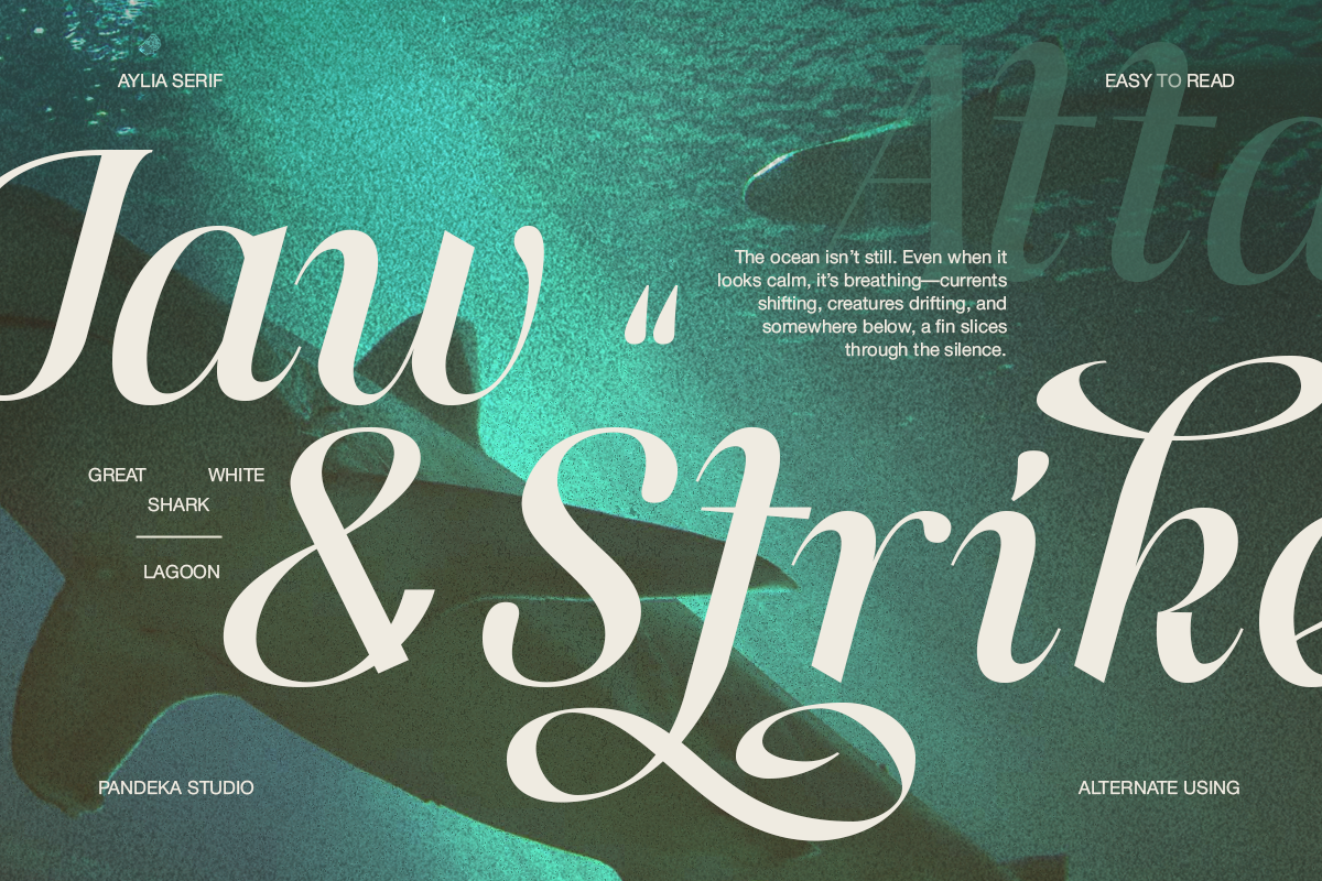 Aylia - Modern Luxury Serif, a Serif Font by Pandeka Studio (Photo 6 of 9)