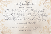 Elsabetha  Elegant Script Font, a Script Font by Aldedesign (Thumbnail 5 of 7)