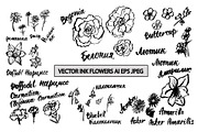 Black ink flower drawing pack, a Decorative Illustration by Pollyksena (Thumbnail 1 of 3)