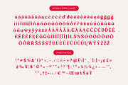 Loyale Rosell Modern Serif Font, a Serif Font by timelesstype.co (Thumbnail 19 of 20)