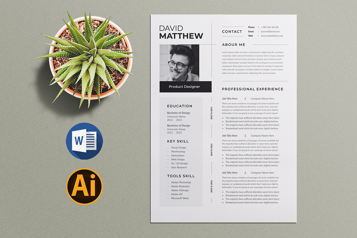 Clean Resume