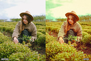 Steal Film Cinematic LR Presets, a Preset Add-On by AAA Presets (Thumbnail 22 of 22)