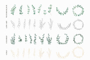 Eucalyptus branches, frames patterns, a Texture Illustration by Kotkoa (Thumbnail 3 of 5)