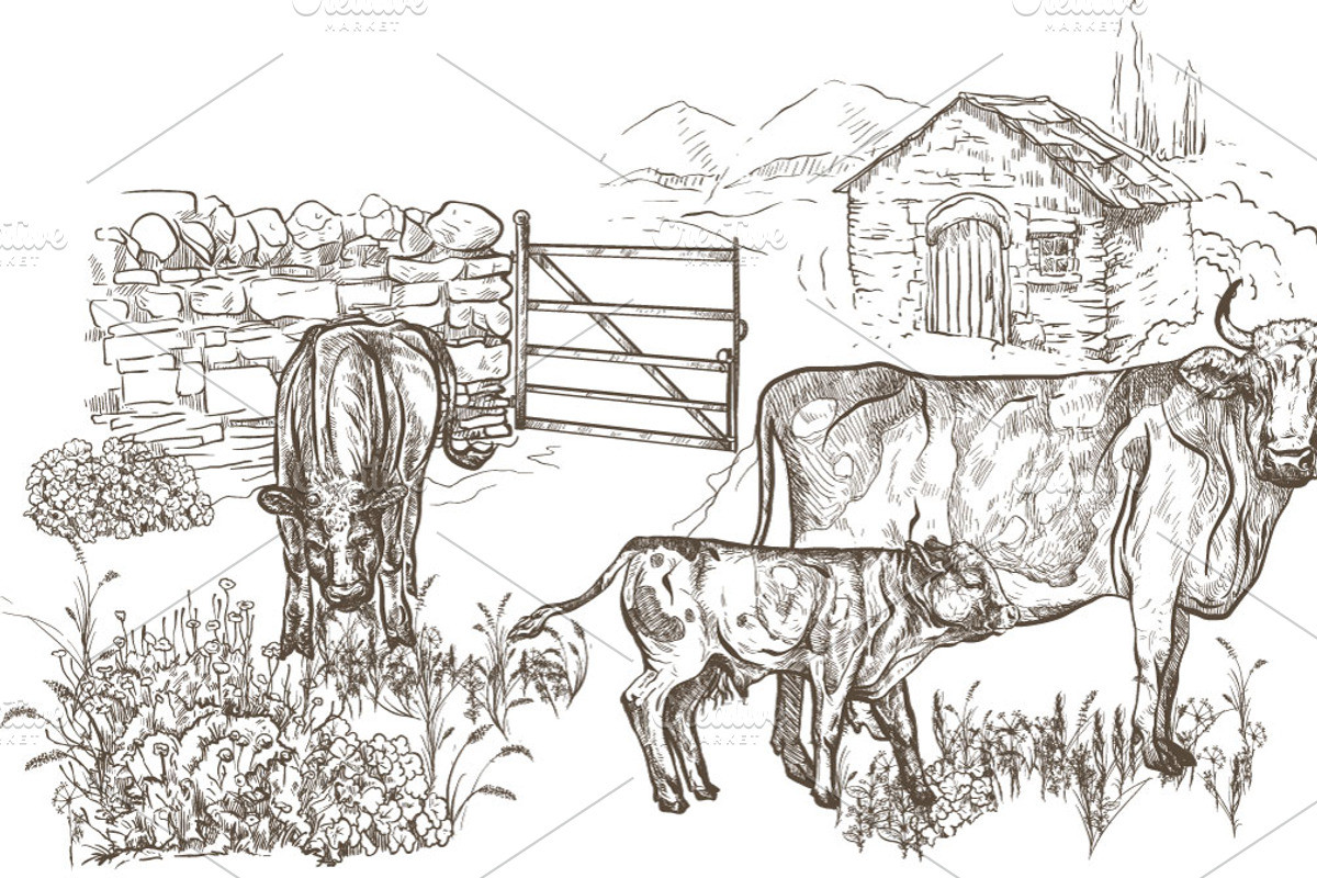 Cows with calves on the farm., an Animal Illustration by ArtOwl (Photo 1 of 3)
