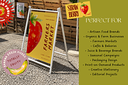 +32 Hand-Painted Fruit Collection, a Food Illustration by The Journey Atelier (Thumbnail 6 of 19)