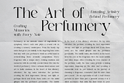 Bloom Haven - Beauty Branding Font, a Serif Font by Sohel Studio (Thumbnail 4 of 11)