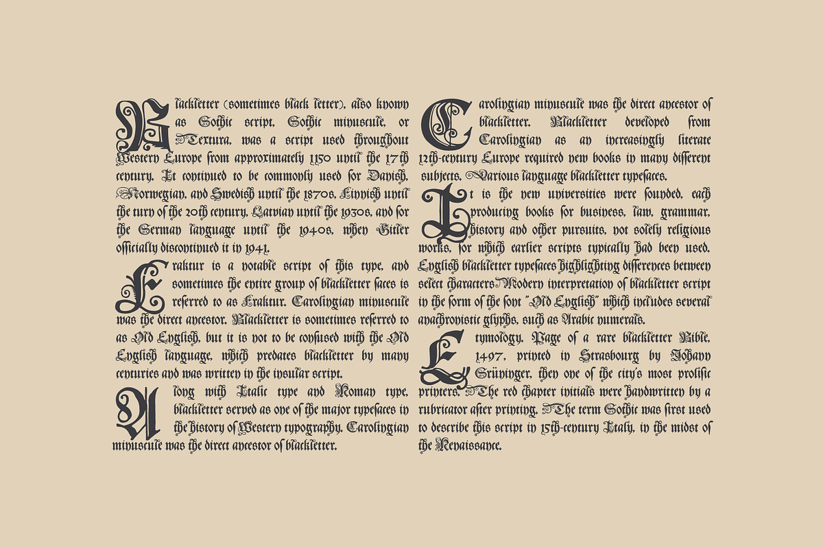 Polish Blackletter Schwabacher font, a Blackletter Font by kaer_shop (Photo 10 of 12)