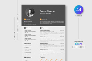 Professional Resume/CV Template, a Resume Template by DreamStudio-eg