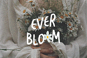 Daisytale - Playful Handwritten Font, a Handwritten Font by imdeyaa (Thumbnail 10 of 11)