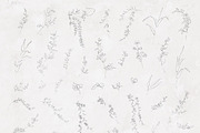 Ikebana Flower Illustrations, a Texture Illustration by Greta Ivy (Thumbnail 5 of 7)