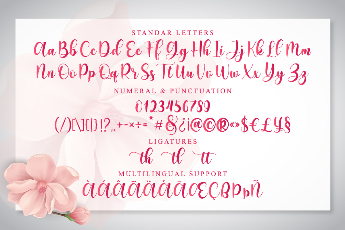 Dorothy | Modern Calligraphy, a Script Font by Almeera Std (Photo 3 of 10)