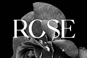 Stylebooks Typeface Serif Font, a Serif Font by UICreative (Thumbnail 4 of 13)
