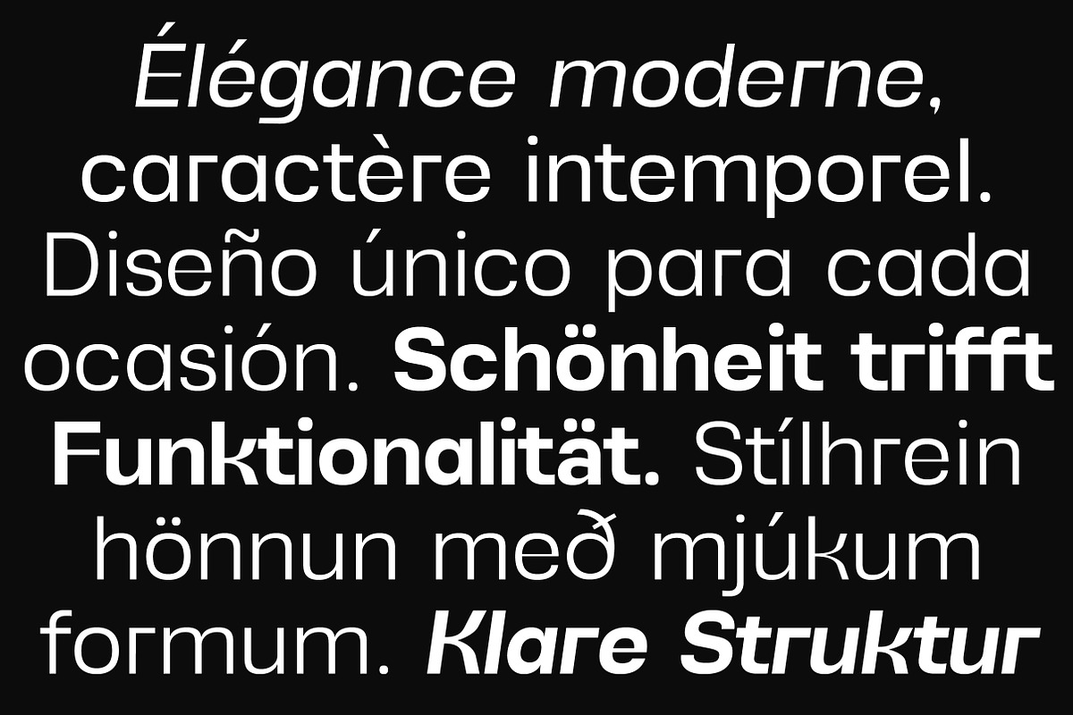 Alvara Sans High Contrast Family, a Sans Serif Font by Lettertype Studio (Photo 13 of 15)