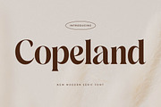 Copeland New Modern Serif Font, a Serif Font by Storytype Studio (Thumbnail 1 of 15)