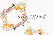 Watercolor Floral Bundle (45 in 1), a Decorative Illustration by Lana Elanor (Thumbnail 20 of 180)