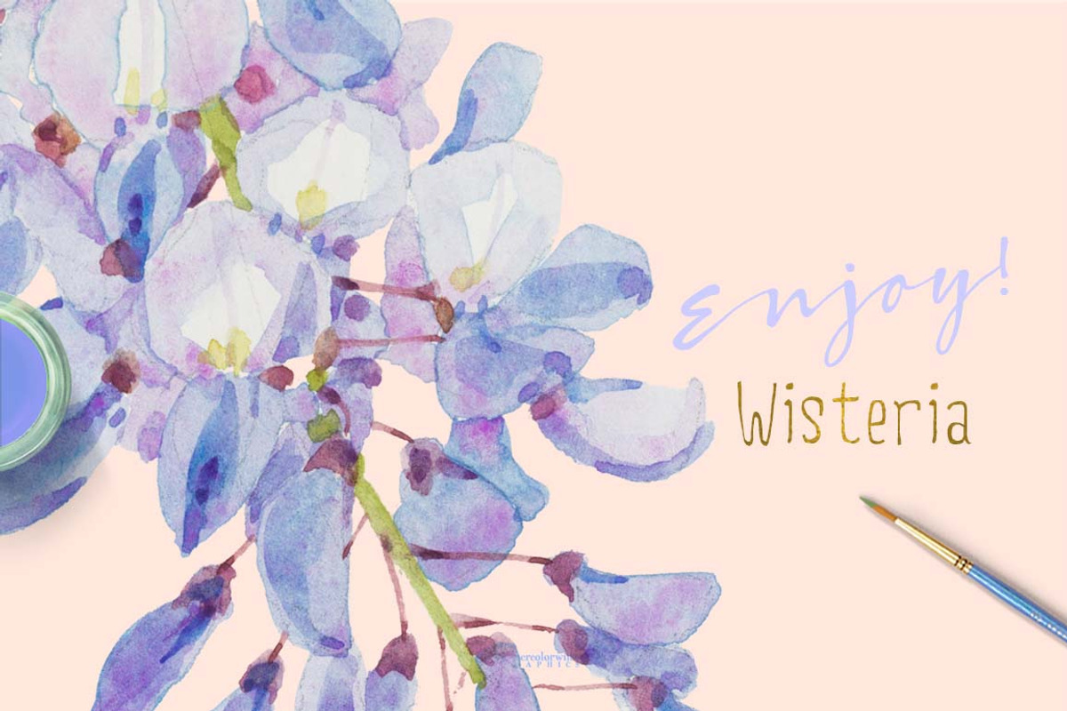Wisteria - Design Pack, an Illustration by watercolorwild.graphics (Photo 7 of 7)