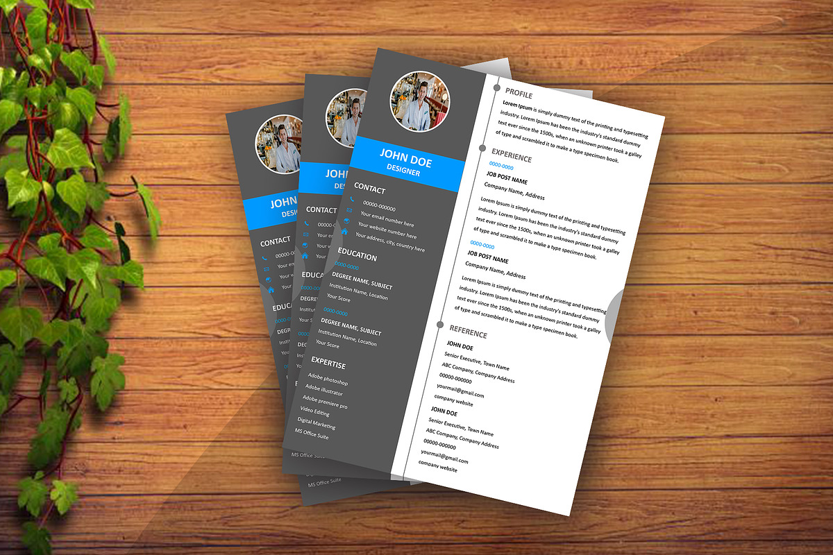 Modern Minimal Resume/CV Design, a Resume Template by Annudesign (Photo 3 of 3)