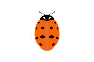 Seven Spot Ladybug Insect, a Solid Icon by Buqancreative