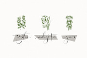 Permacultur, a Script Font by Papermode Co. (Thumbnail 15 of 16)