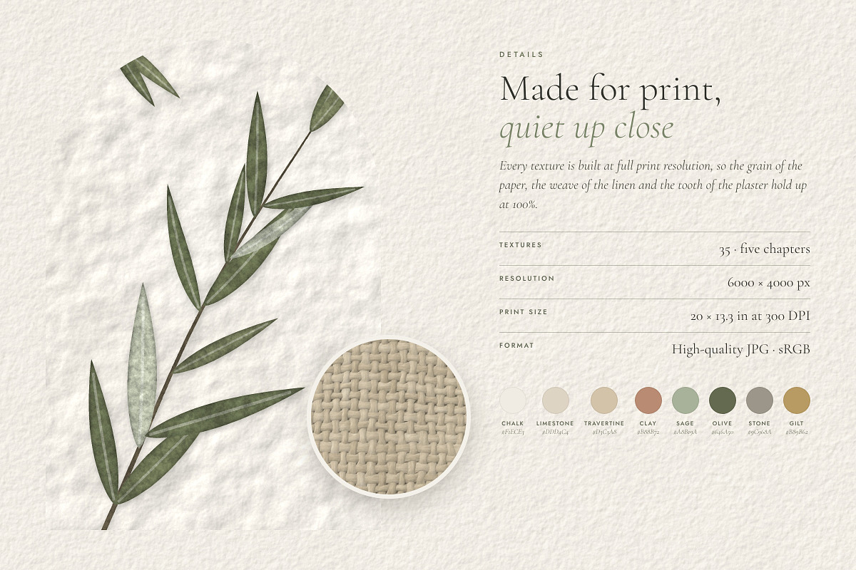 Sage & Stone Botanical Textures, a Texture Graphic by A Northern Type (Photo 8 of 9)