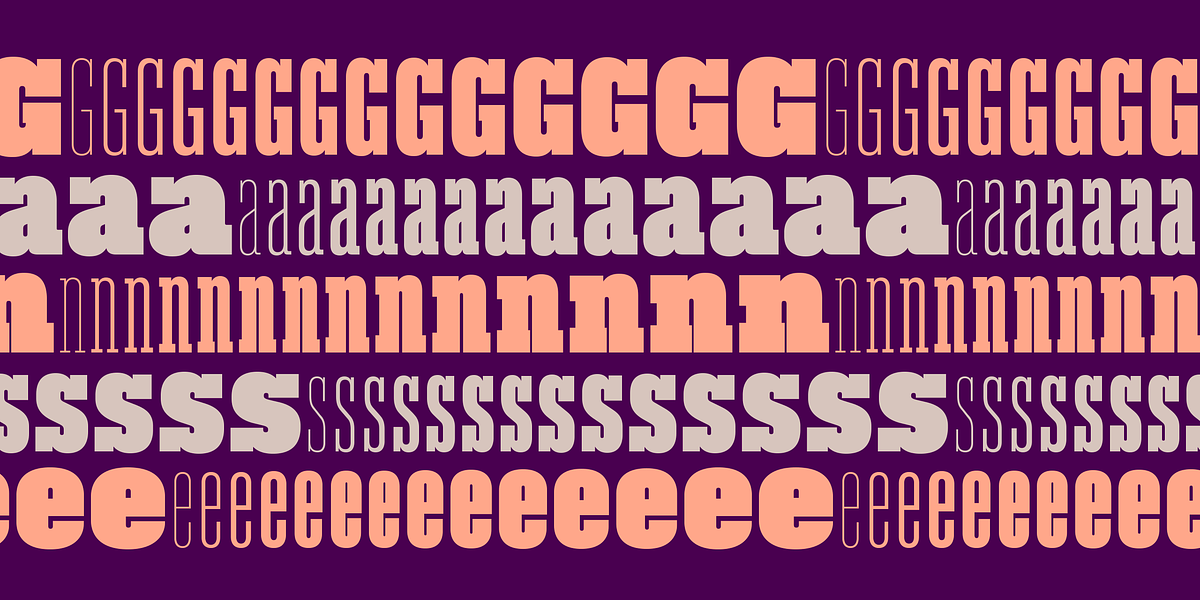 Akkordeon Slab, a Slab Serif Font by Emtype Foundry (Photo 5 of 9)