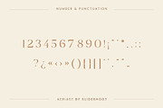 Aeriast Serif Font, a Serif Font by Idea Studio (Thumbnail 10 of 12)