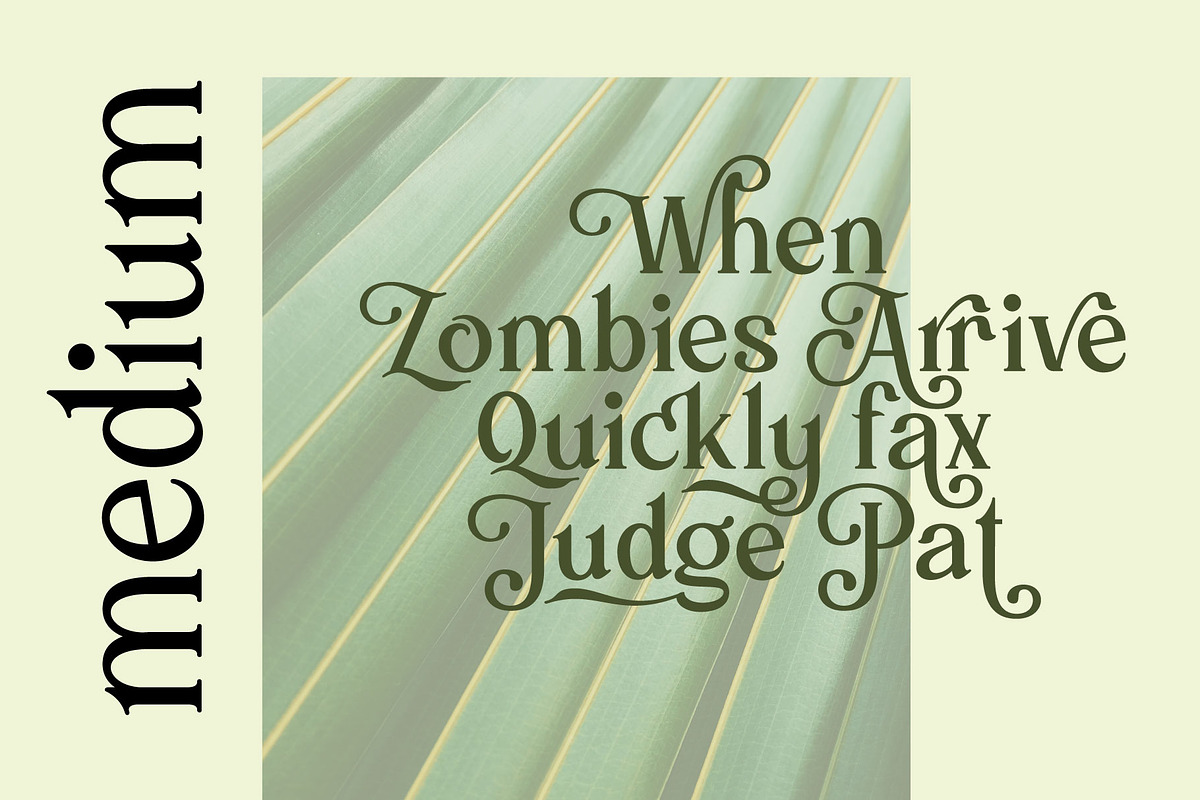 Mollas Typeface, a Serif Font by alit design (Photo 4 of 18)