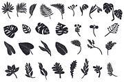 Sale Botanicum, a Texture Illustration by Mii Lab (Thumbnail 12 of 13)
