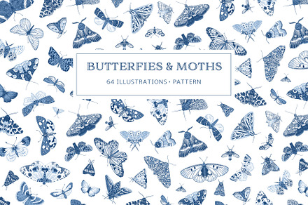 Butterflies and Moths. B&W