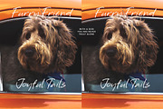 Workspace Relaxed Natural Flow, a Handwritten Font by operatype.co (Thumbnail 7 of 15)