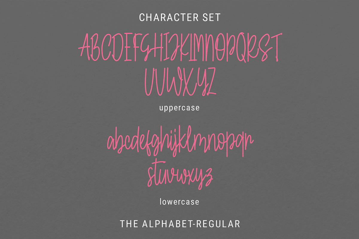 Sassy Soul - Script Sexy Handwritten, a Script Font by ariodsgn (Photo 2 of 7)