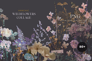 Wildflowers collage collection, a Texture Graphic by Anna Sokol
