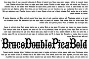 Bruce Double Pica PACK, a Serif Font by Intellecta Design (Thumbnail 3 of 6)