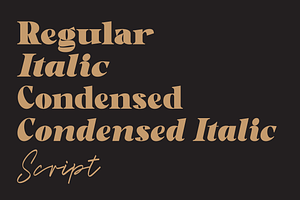 Gafeniv Font Duo - 5 Styles