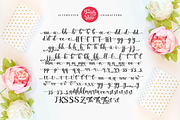 Beauty & Shine / Pretty Script, a Script Font by Java pep (Thumbnail 15 of 15)