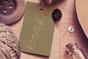 Achange Duo Style, a Script Font by PollemSt (Thumbnail 6 of 9)