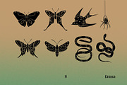 Mysterious set, an Illustration by Mii Lab (Thumbnail 3 of 13)