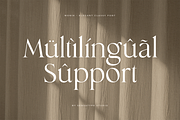 Monik - Elegant Classy Font, a Serif Font by Sensatype (Thumbnail 15 of 15)