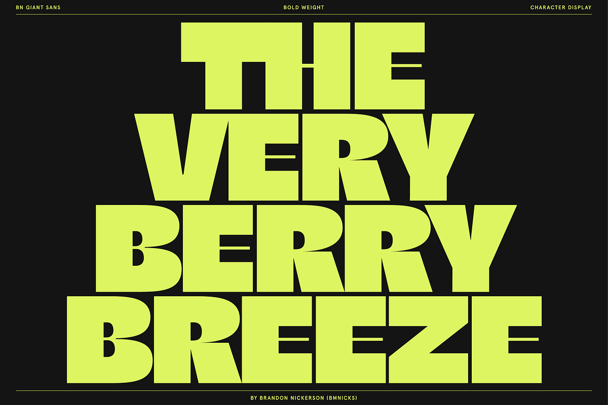 BN Giant, a Sans Serif Font by Bnick (Photo 5 of 19)
