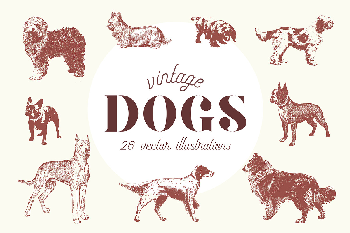 VINTAGE DOGS | 26 Vectors, a Graphic by Britt & Kit (Photo 1 of 2)