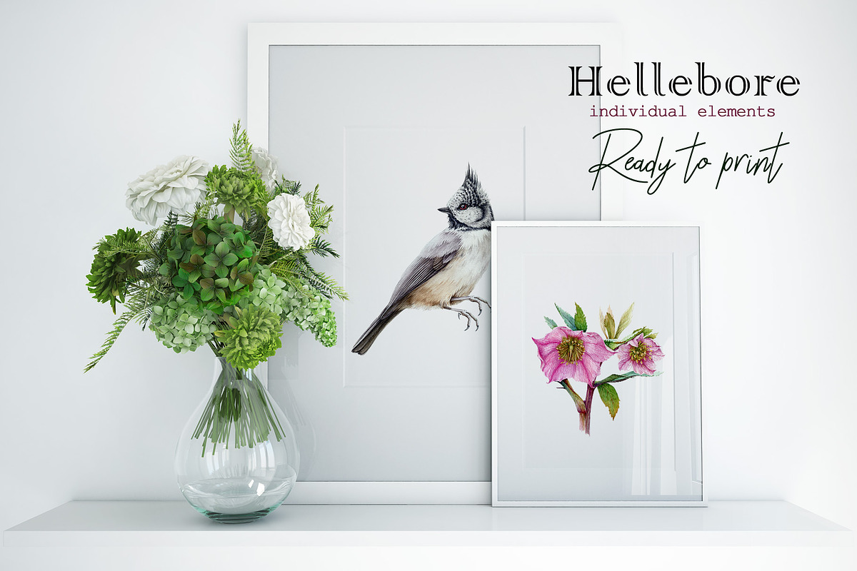 Hellebore Floral Seamless Pattern, a Decorative Illustration by AnitaPol (Photo 11 of 12)