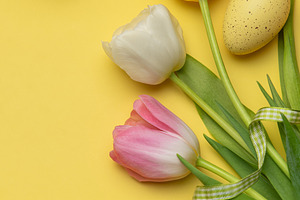 Easter eggs and tulips forming a frame on a yellow background, a Holiday Photo by Olena Rudo